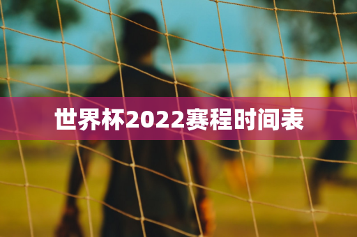 中国女足晋级世界杯