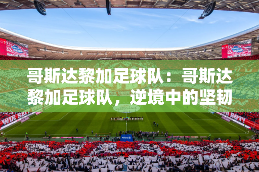 广东体育频道在线观看